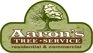 Byron Center Tree Service Company
