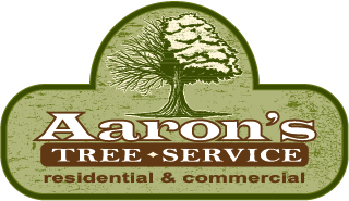 Rockford Tree Service Company